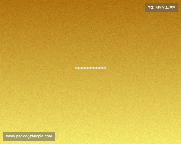 今日赛事即时查询指南一键掌握所有动态信息